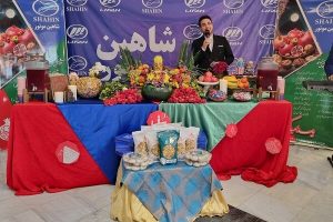 شاهین موتور سفیر شادی در خانه سالمندان - خبرگزاری مهر | اخبار ایران و جهان